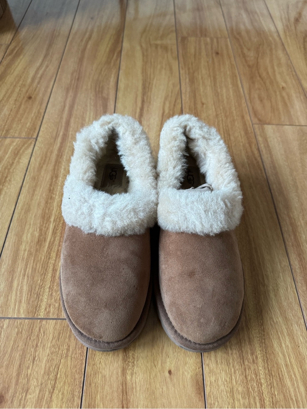 UGG Chestnut Brown Suede Slippers with Cream Shearling Collar